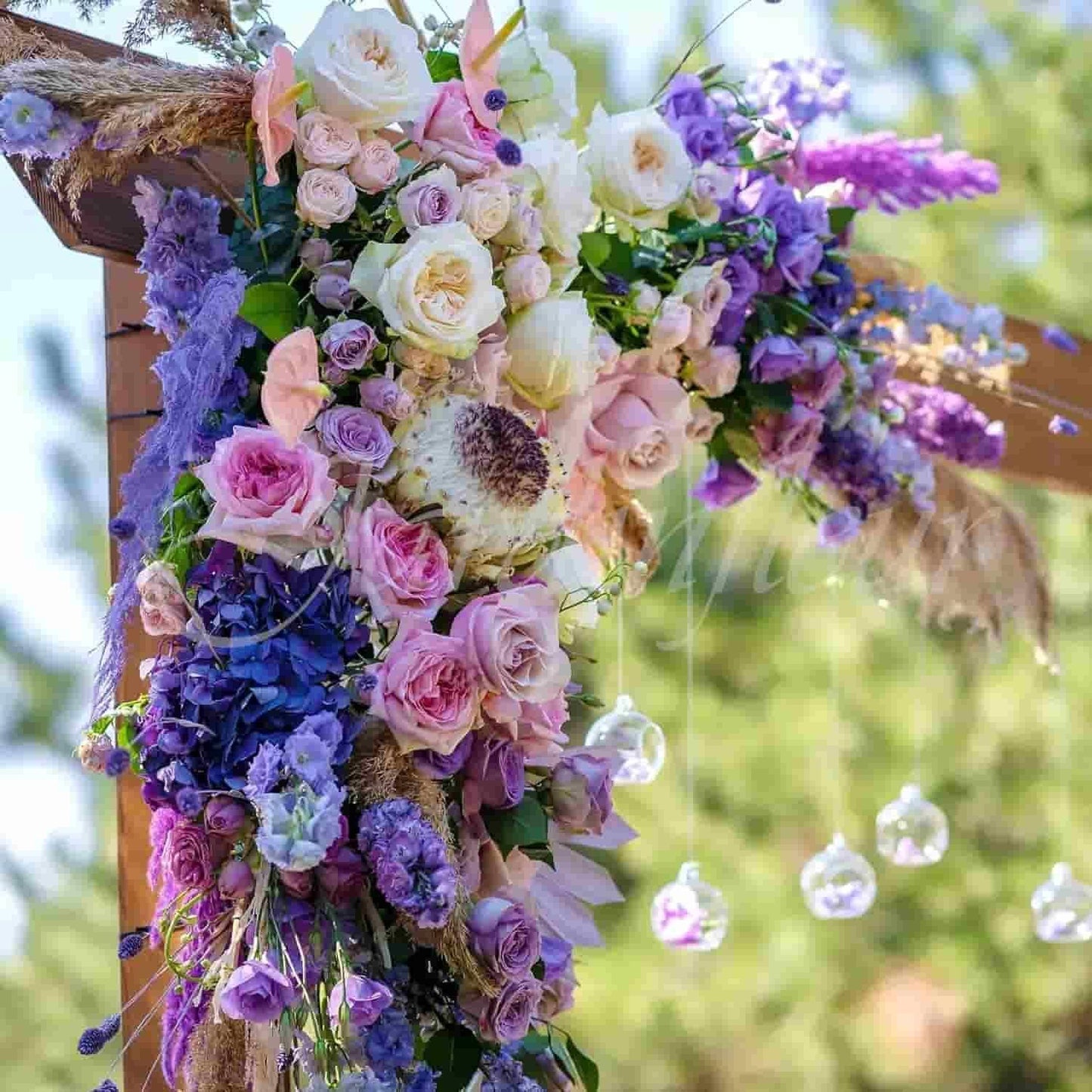 Lisianthus Seeds