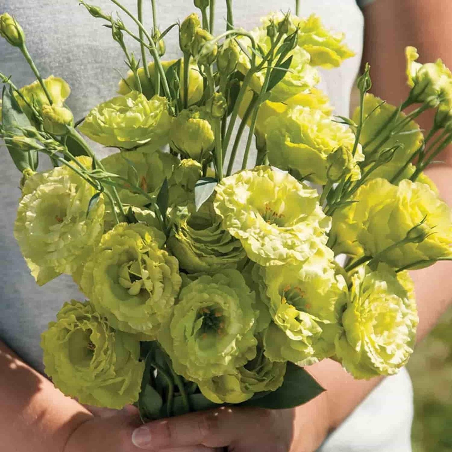 Lisianthus Seeds